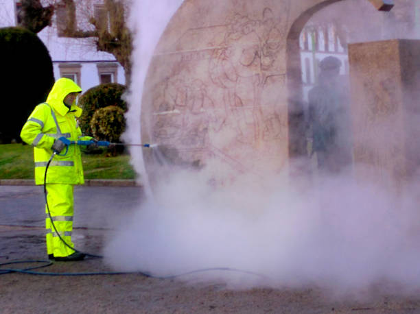 Best Garage Pressure Washing  in Farmington, MO